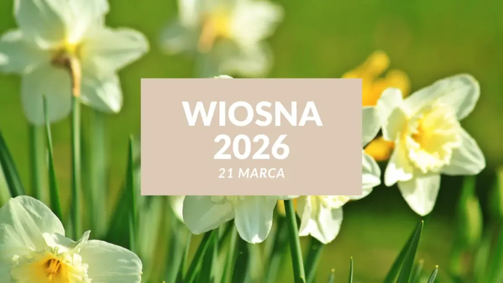 wiosna kalendarzowa 2026 pierwszy dzień wiosny 21 marca krokusy słońce